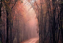 江苏男篮胜利在望，后卫表现抢眼