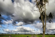 阿贾克斯青训传承继续，未来之星崭露头角