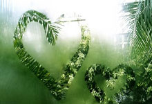 葡萄牙队创下历史新高，战胜瑞士进入决赛