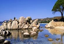 开拓者击败国王，利拉德绝杀赢得胜利